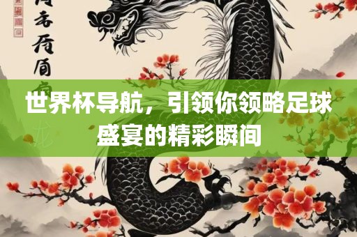 世界杯导航，引领你领略足球盛宴的精彩瞬间