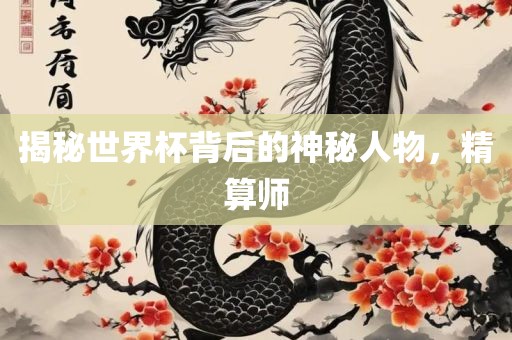 揭秘世界杯背后的神秘人物，精算眉山市正发家政服务有限公司师