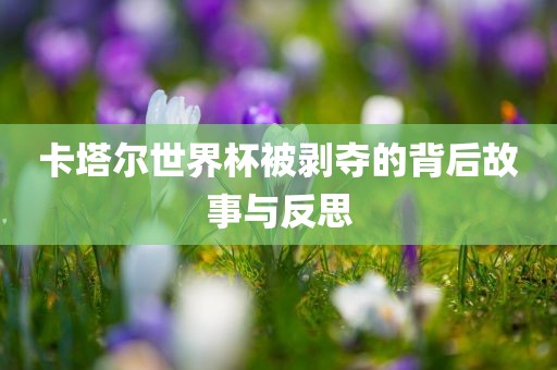 卡塔尔世界杯被剥夺的背后故事与反思眉山市正发家政服务有限公司