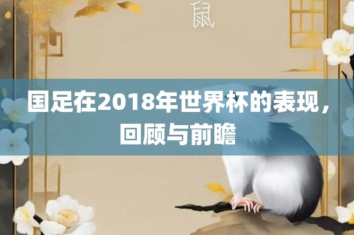 国足在2018眉山市正发家政服务有限公司年世界杯的表现，回顾与前瞻