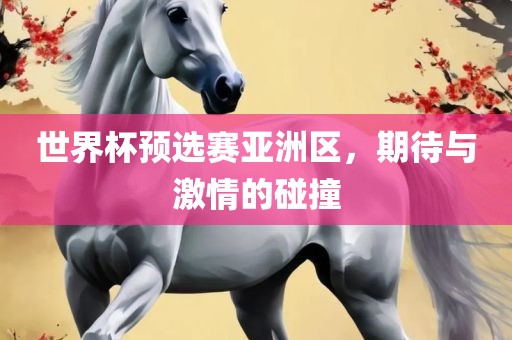 世界杯预选赛亚洲区，期待与激情的碰撞