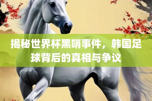 揭秘世界杯黑哨事件，韩国足球背后的真相与争议