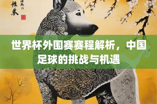 世界杯外围赛赛程解析，中国足球的挑战与机遇眉山市正发家政服务有限公司