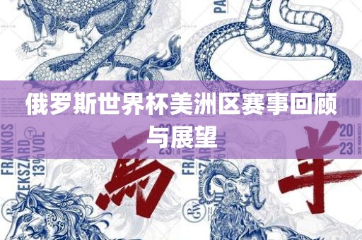 俄罗斯世界杯美洲区赛事回顾与展望
