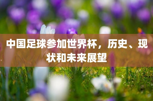 中国足球参加世界杯，历史、现状和未来展望眉山市正发家政服务有限公司