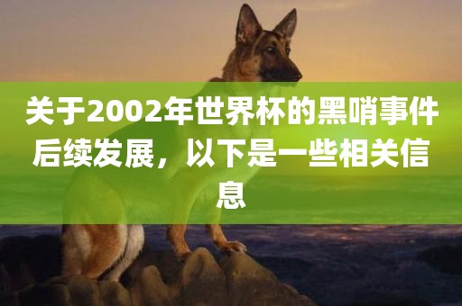 关于2002年世界杯的黑哨事件后续发展，以下是一些相关信息