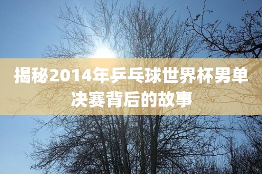 揭秘2014年乒乓球世界杯男单决赛背后的故事