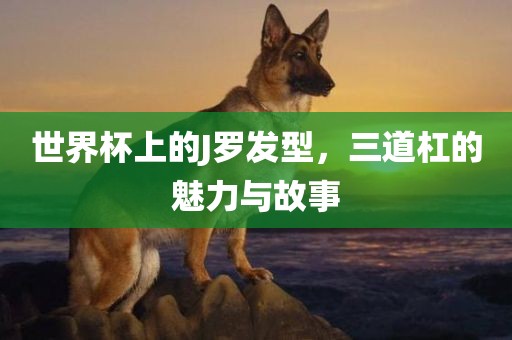 chenjiarong 第7页