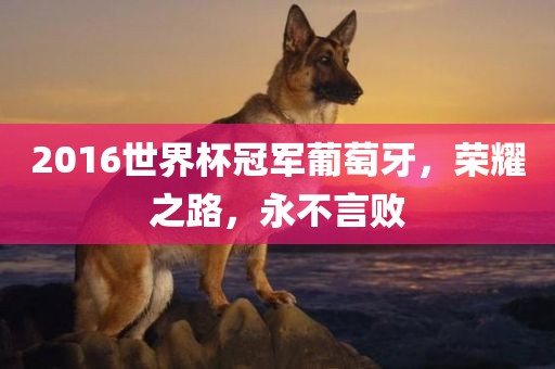 2016世界杯冠军葡眉山市正发家政服务有限公司萄牙，荣耀之路，永不言败