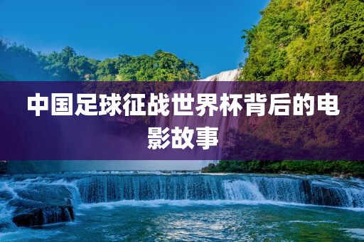中国足球征战世界杯背后的电影故事眉山市正发家政服务有限公司