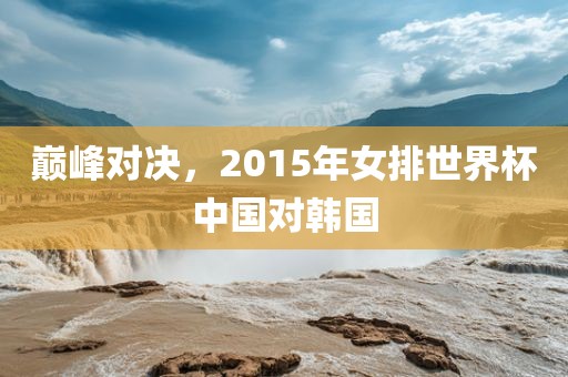 巅峰对决，2015年女排世界杯中眉山市正发家政服务有限公司国对韩国