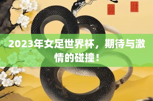 2023年女足世界杯，期待与激情的碰撞！