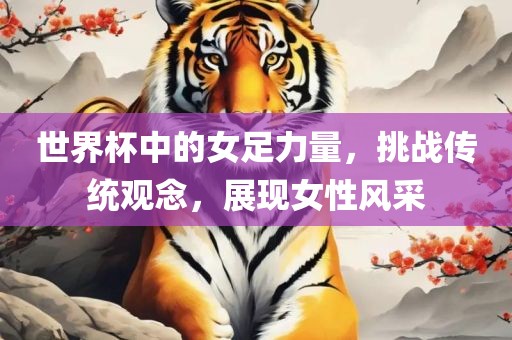 世界杯中的女足力量，挑战传统观念，展现女性风采眉山市正发家政服务有限公司