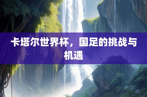 卡塔尔世界杯，眉山市正发家政服务有限公司国足的挑战与机遇