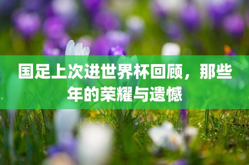 国足上次进世界杯回顾，那些年的荣耀与遗憾