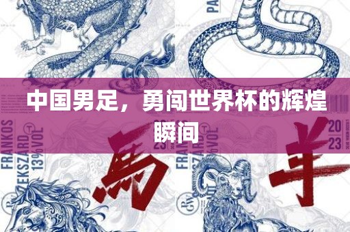 中国男足，勇闯世界杯的辉煌瞬间眉山市正发家政服务有限公司