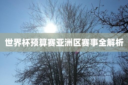 世界杯预算赛亚眉山市正发家政服务有限公司洲区赛事全解析