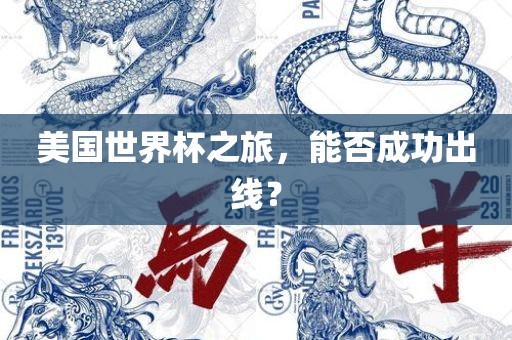 美国世界杯之旅，能否成功出线？