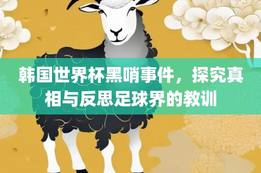 韩国世界杯黑哨事件，探究真相与反思足球界的教训