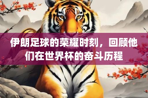 伊朗足球的荣耀时刻，回顾他们在世界杯的奋斗历程