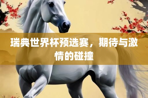 瑞典世界杯预选赛，期待与激情的碰撞