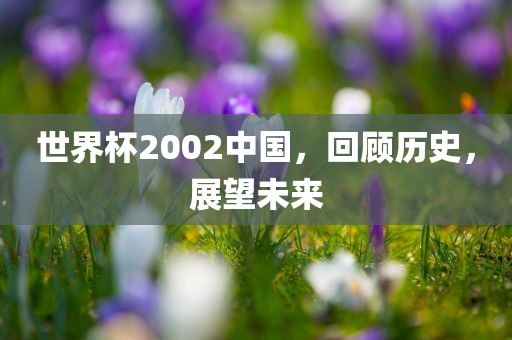 世界杯2002中国，回顾历史，展望未来
