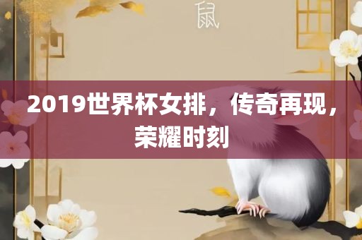2019世界杯女排，传奇再现，荣耀时刻
