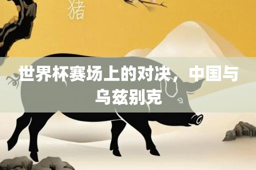世界杯赛场上的对决，中国与乌兹别克