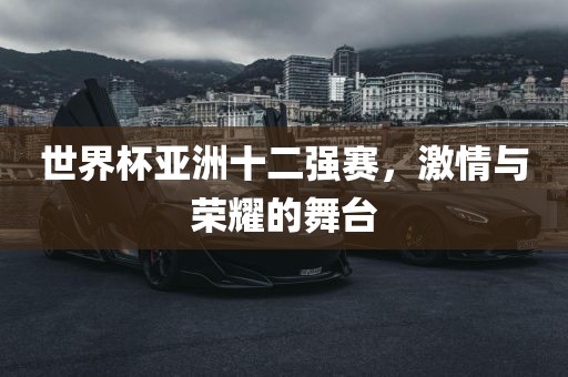 世界杯亚洲十二强赛，激情与荣耀的舞台眉山市正发家政服务有限公司