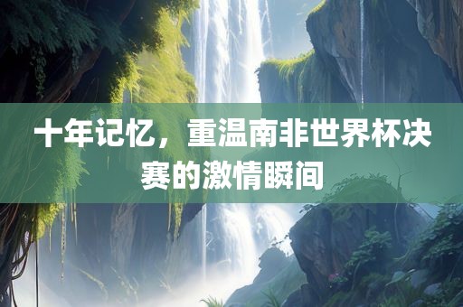 十年记忆，重温南非世界杯决赛的激情瞬间