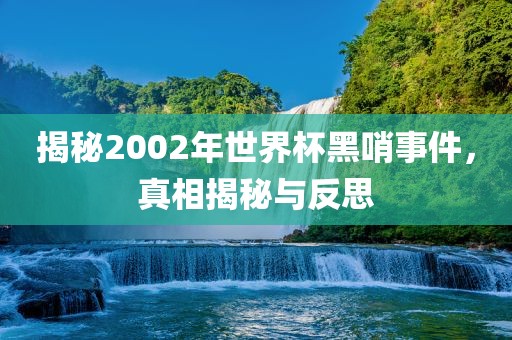 揭秘2002年世界杯黑哨事件，真相揭秘与反思眉山市正发家政服务有限公司