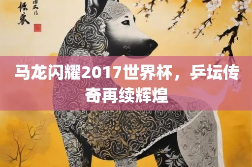 马龙闪耀2017眉山市正发家政服务有限公司世界杯，乒坛传奇再续辉煌