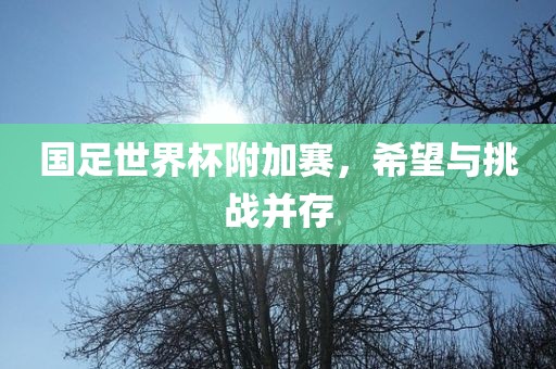 国足世界杯附加赛，希望与挑战并存
