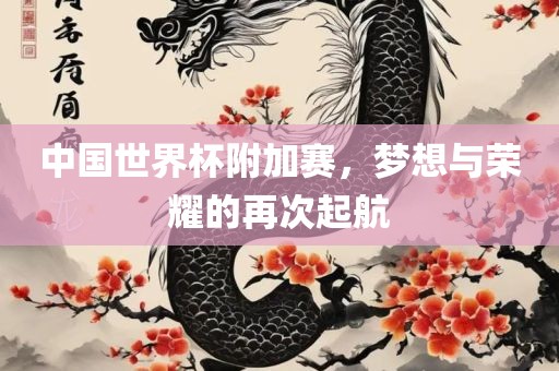 中国世界杯附加眉山市正发家政服务有限公司赛，梦想与荣耀的再次起航