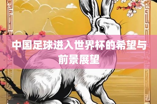 中国足球进入世界杯的希望与前景展望