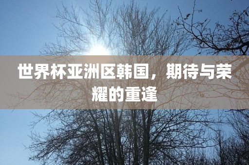 世界杯亚洲区韩国，期待与荣耀的重逢