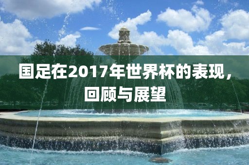 国足在2017年世界杯的表现，回顾与展望