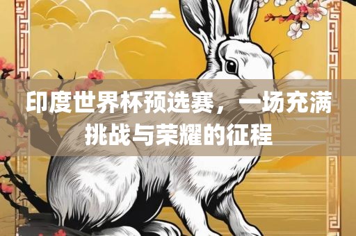 印度世界杯预选赛，一场充满挑战与荣耀的征程眉山市正发家政服务有限公司