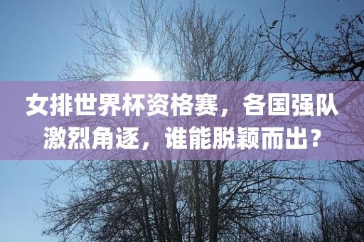 zhengliyun 第8页