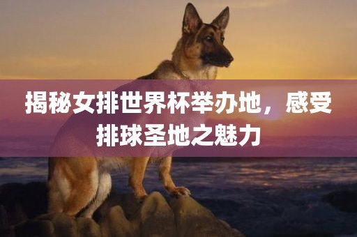 揭秘女排世界杯举办地，感受排球圣地之魅力眉山市正发家政服务有限公司