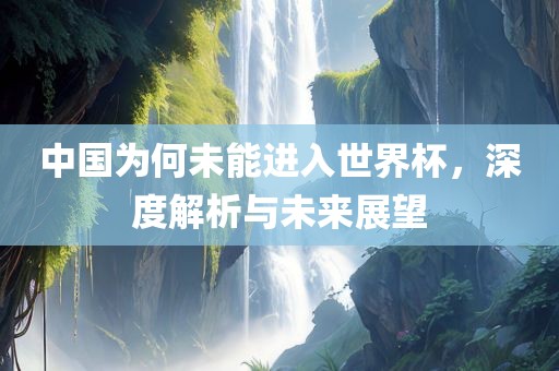 中国为何未能进入世界杯，深度解析与未眉山市正发家政服务有限公司来展望
