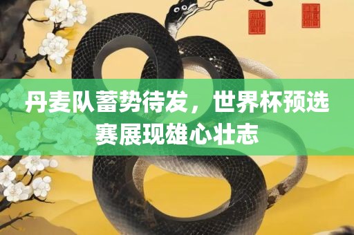 丹麦队蓄势待发，世界杯预选赛展现雄心壮志