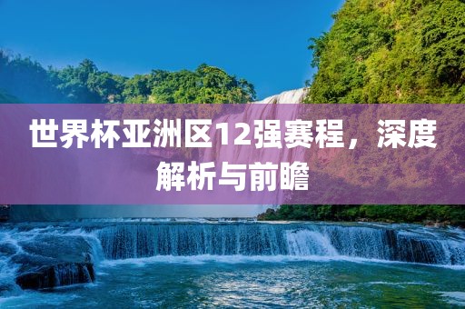 世界杯亚洲区12强赛程，深度解析与前瞻