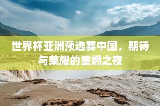世界杯亚洲预选赛中国，期待与荣耀的重燃之夜