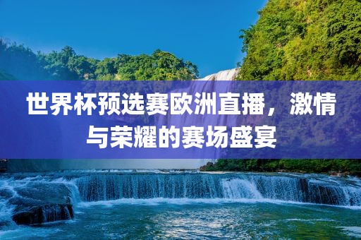 世界杯预选赛欧洲直播，激情与荣耀的赛场盛宴