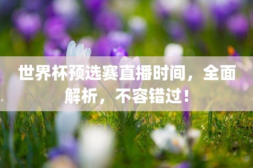 世界杯预选赛直播时间，全面解析，不容错过！眉山市正发家政服务有限公司