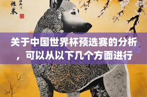 关于中国世界杯预选赛的分析，可以从以下几个方面进行