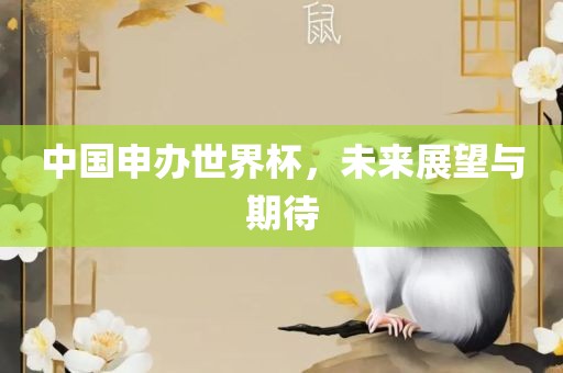 中国申办世界杯，未来展望与期待