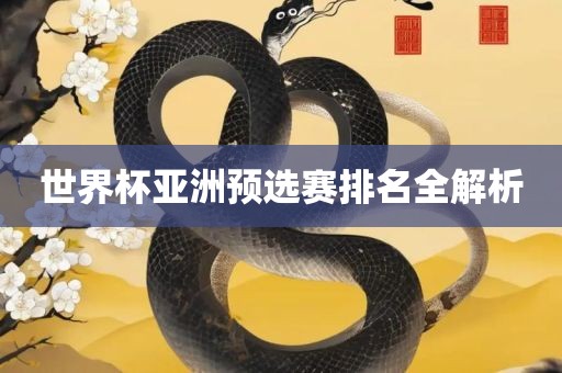 世界杯亚洲预选赛排名全解析