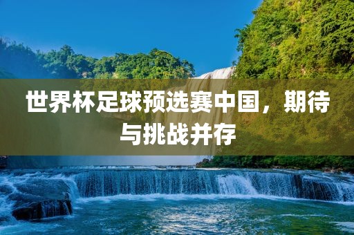世界杯足球预选赛中国，期待与挑战并存